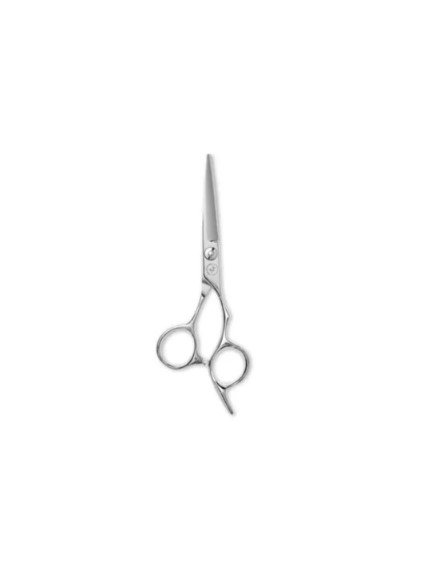 Steel-Scissor